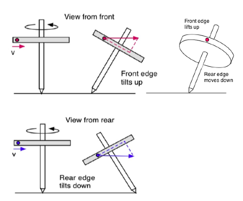 spinning top dimensions