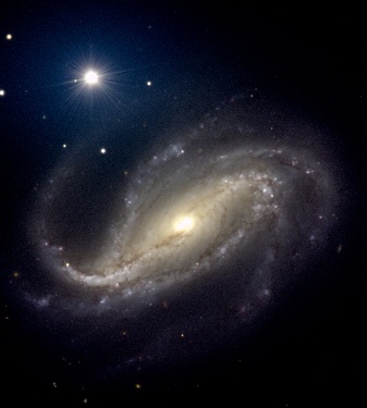Barred spiral galaxy NGC 613