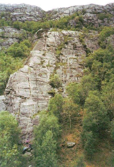 Pine Crag
