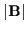$\vert{\bf B}\vert$